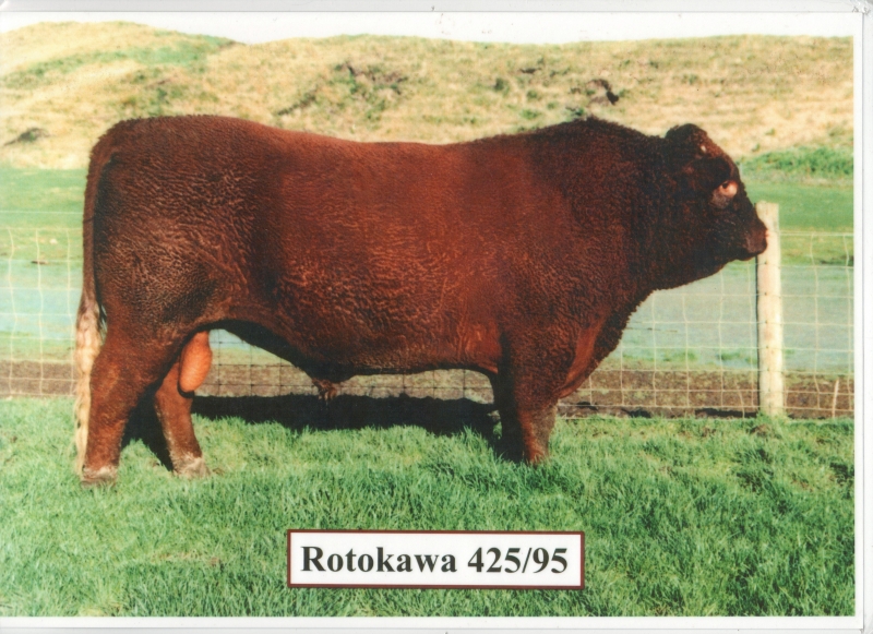 Rotokawa 425/95