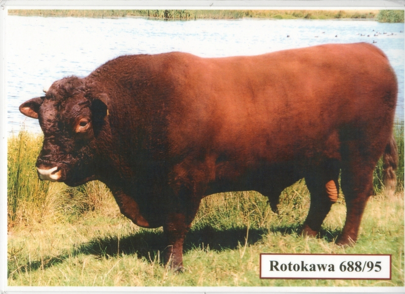 Rotokawa 688/95