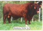 Rotokawa 752/96 3 yr